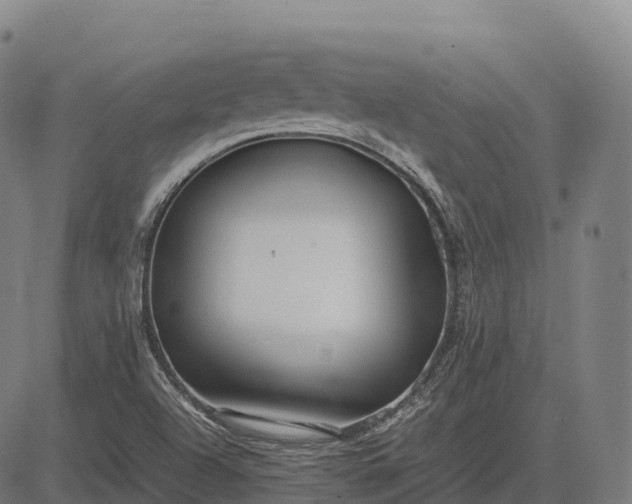 X0000082721504200702091759