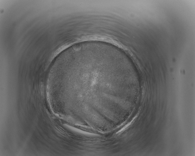 X0000082721505200702091759