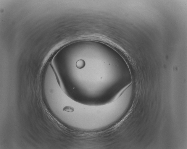 X0000082721506200702091759