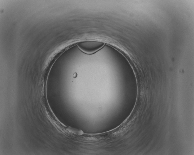 X0000082721507200702091759