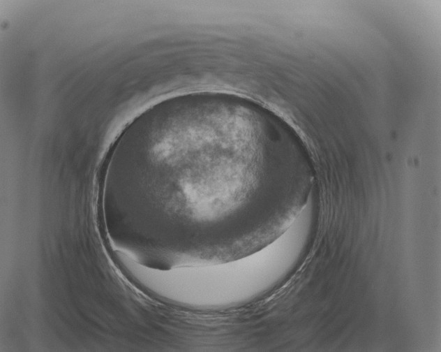 X0000082721508200702091759