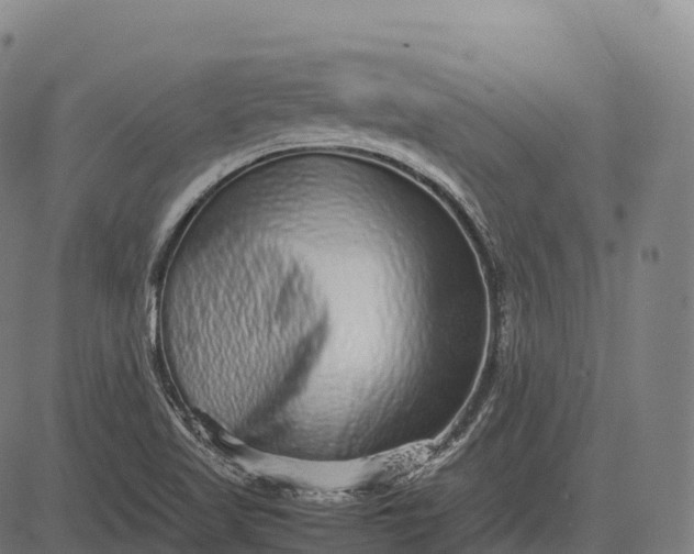 X0000082721509200702091759