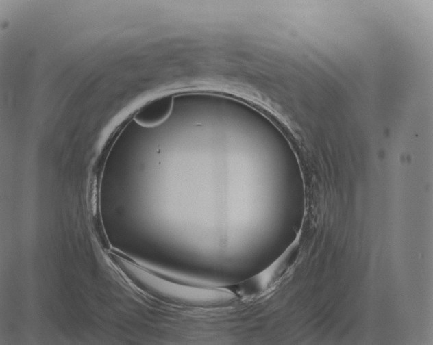 X0000082721510200702091759