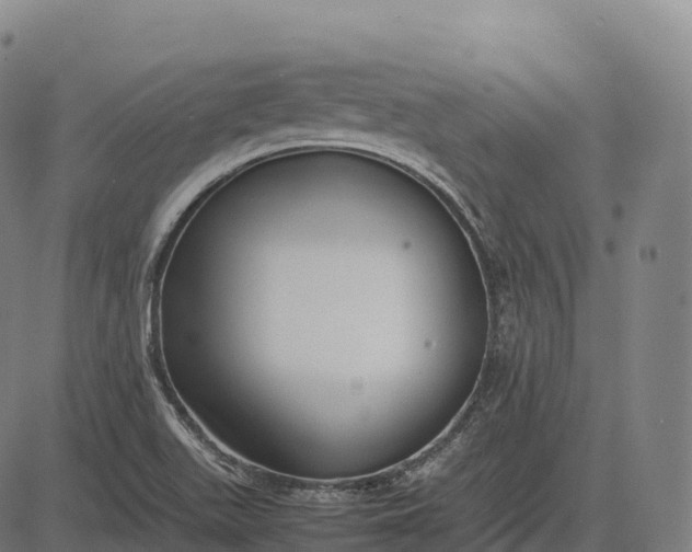 X0000082721511200702091759