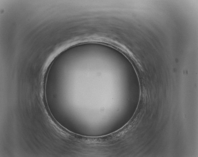 X0000082721512200702091759