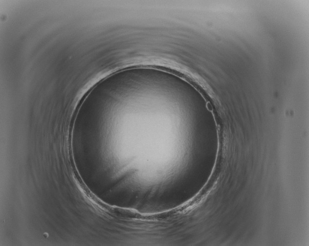 X0000082721513200702091759