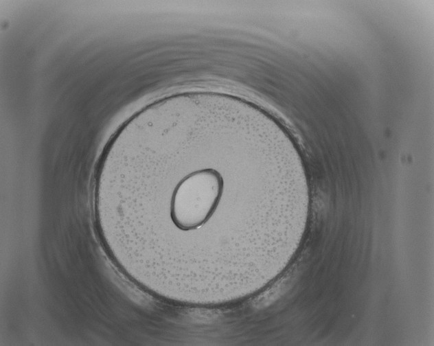 X0000082721514200702091759