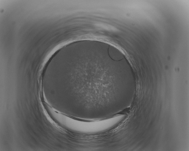 X0000082721515200702091759