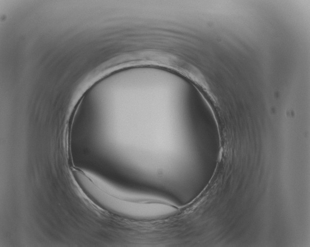 X0000082721516200702091759