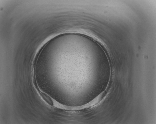 X0000082721517200702091800