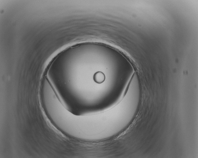 X0000082721518200702091800