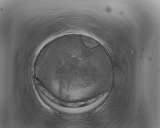 X0000082721519200702091800