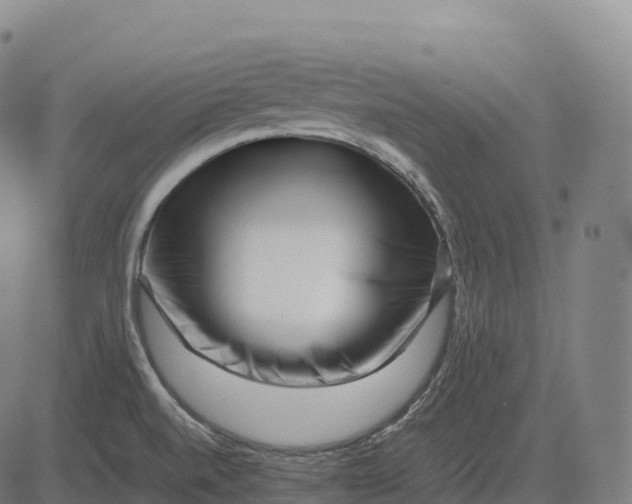 X0000082721520200702091800