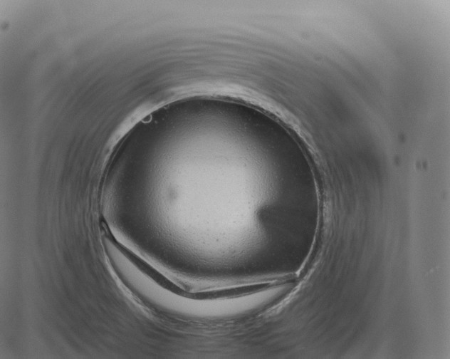 X0000082721521200702091800