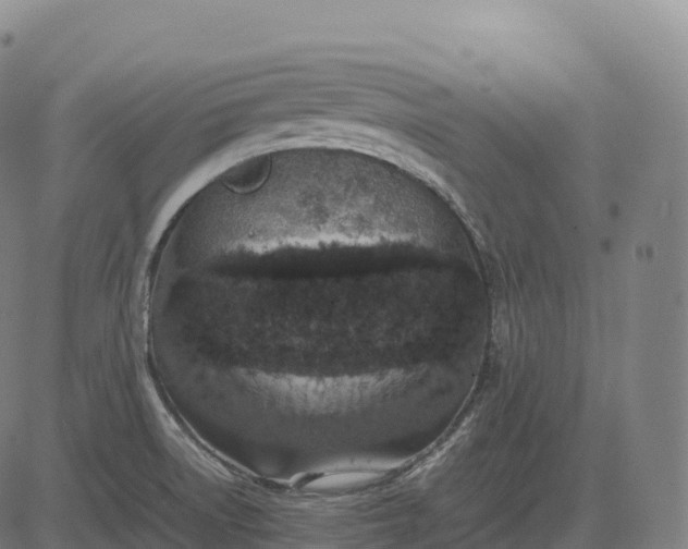 X0000082721522200702091800