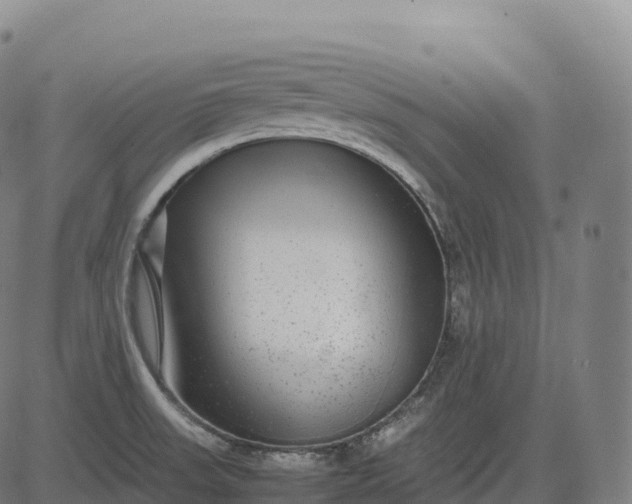 X0000082721523200702091800