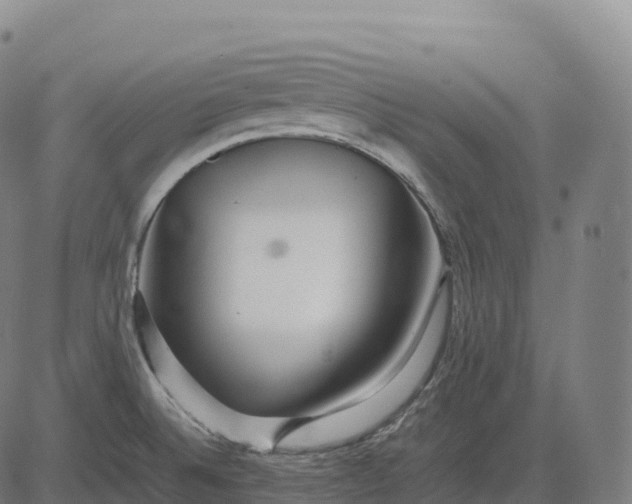 X0000082721524200702091800