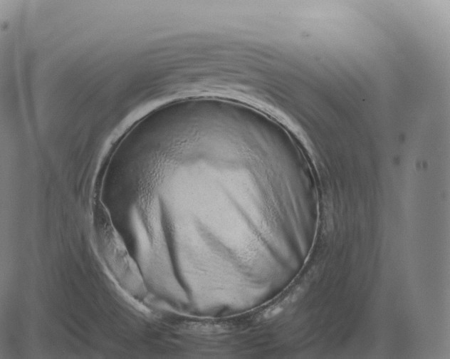 X0000082721525200702091800