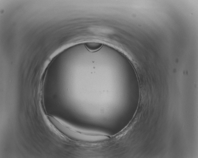 X0000082721526200702091800