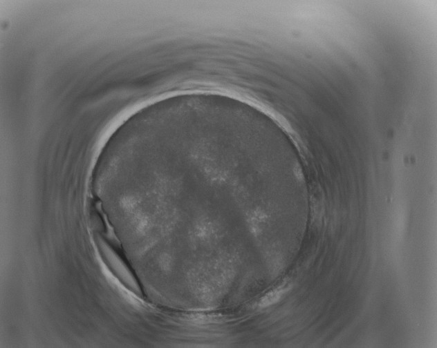 X0000082721527200702091800