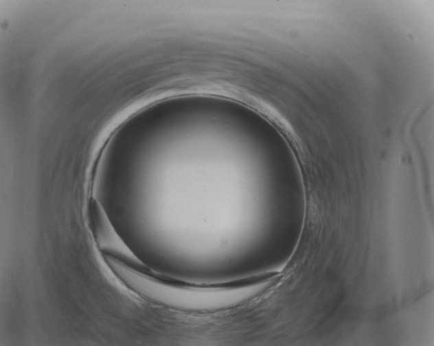 X0000082721528200702091800