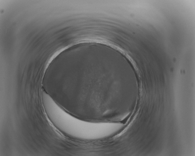 X0000082721529200702091800