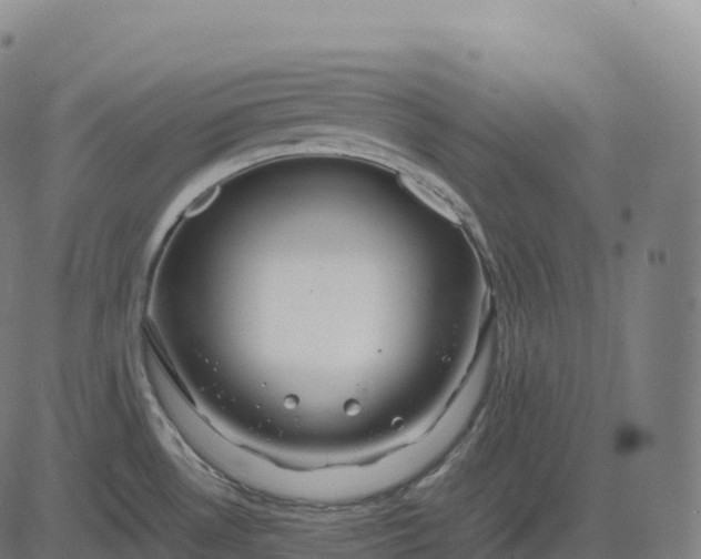 X0000082721530200702091800