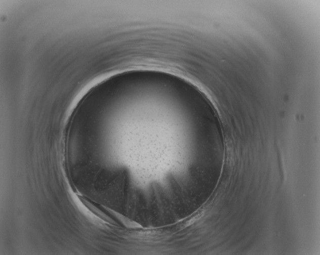 X0000082721531200702091800