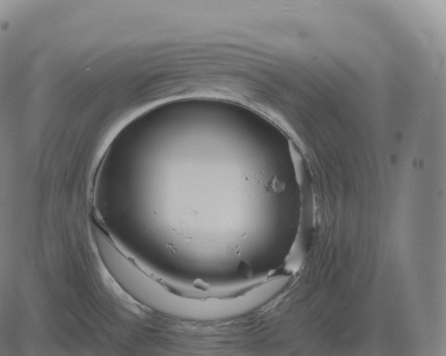 X0000082721532200702091800