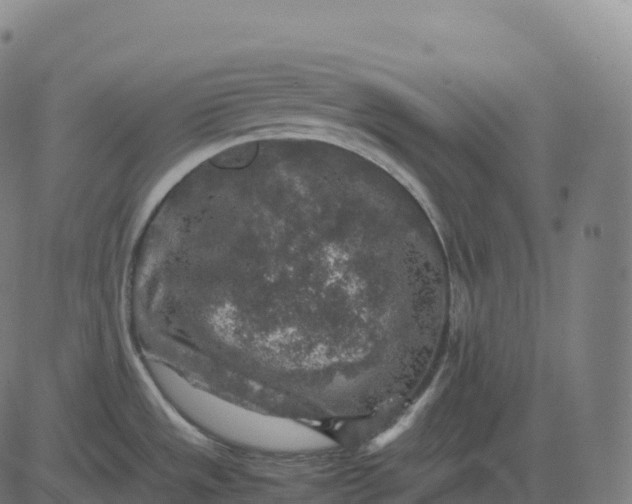 X0000082721533200702091800