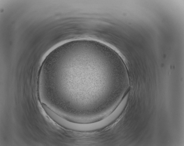 X0000082721534200702091800