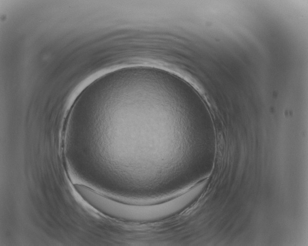 X0000082721535200702091800