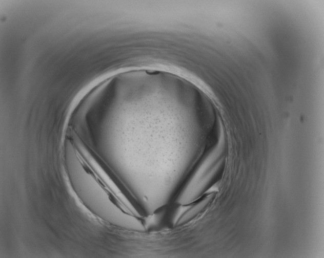 X0000082721536200702091800