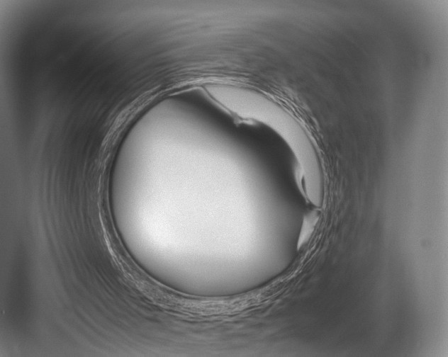 X0000082720001200702161853