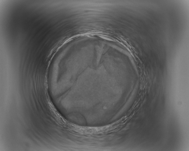 X0000082720002200702161853