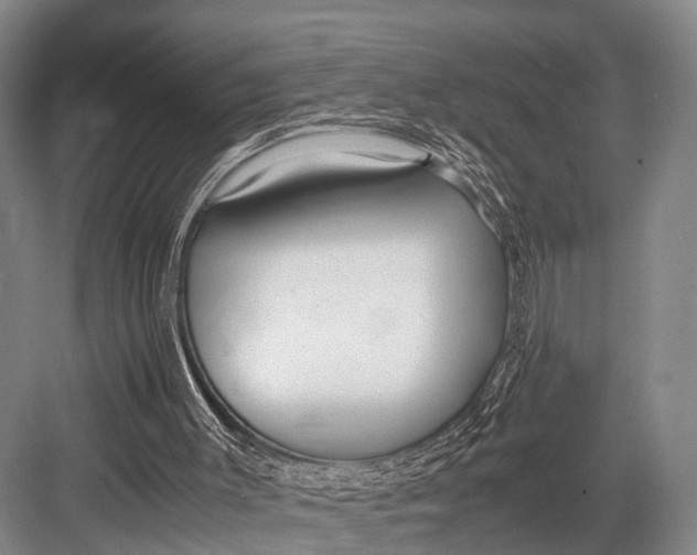 X0000082720003200702161853