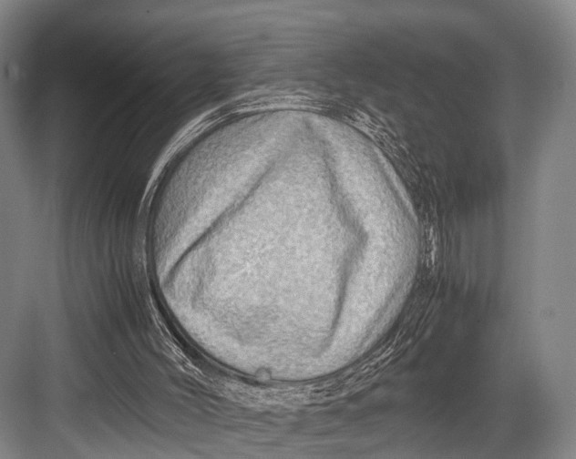 X0000082720004200702161853