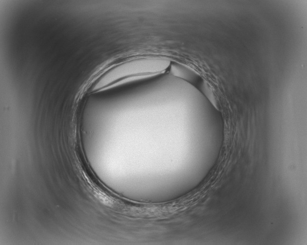 X0000082720005200702161853