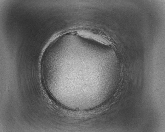 X0000082720006200702161853