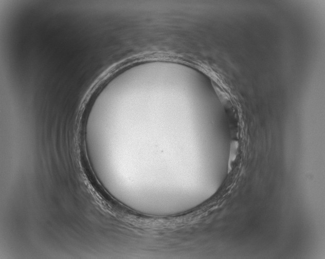 X0000082720007200702161853