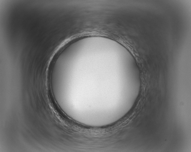 X0000082720008200702161853