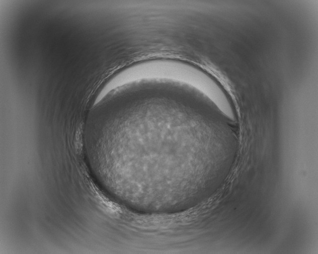 X0000082720009200702161853