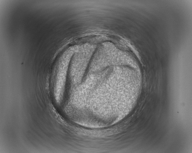 X0000082720010200702161853