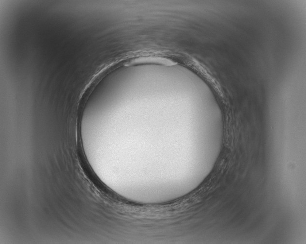 X0000082720011200702161853