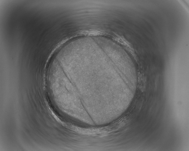 X0000082720012200702161853