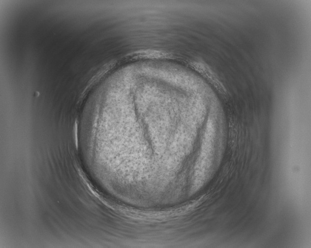 X0000082720014200702161853