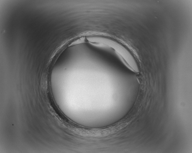 X0000082720015200702161853