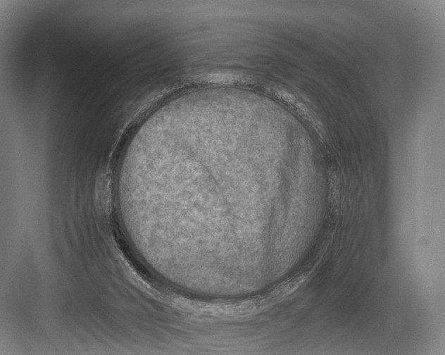 X0000082720016200702161853