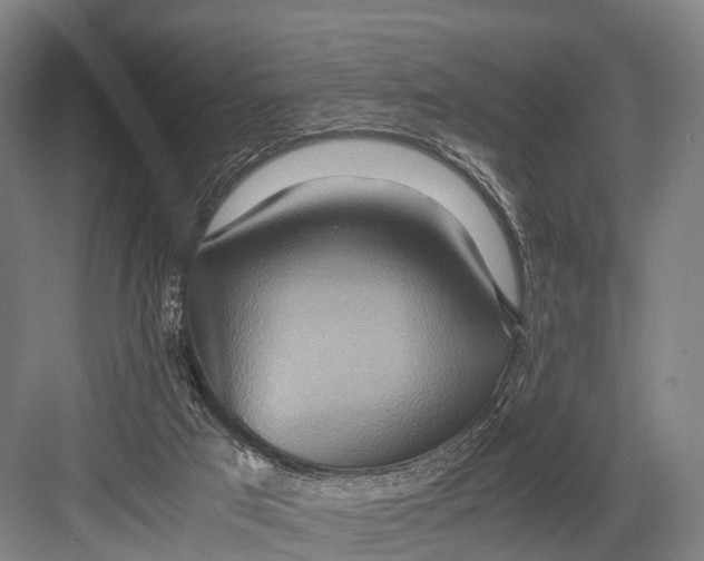 X0000082720017200702161853