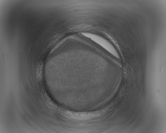 X0000082720018200702161853